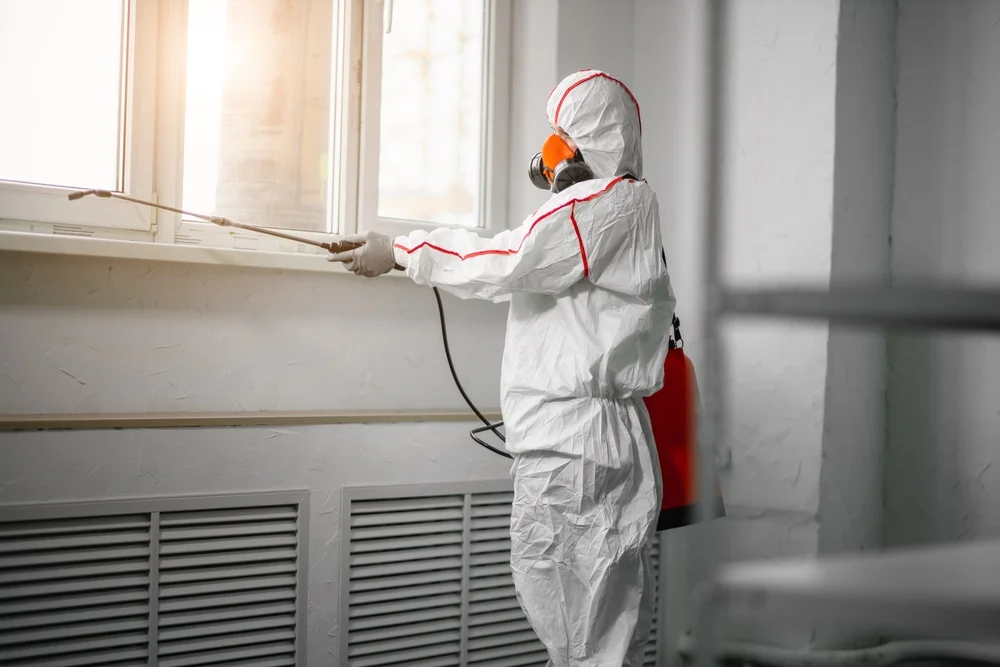 Professional mold remediation services in Waterman, IL